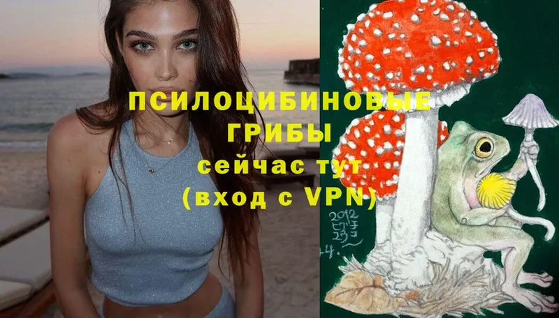 Галлюциногенные грибы Psilocybine cubensis  ОМГ ОМГ ТОР  Истра  площадка какой сайт  даркнет сайт 